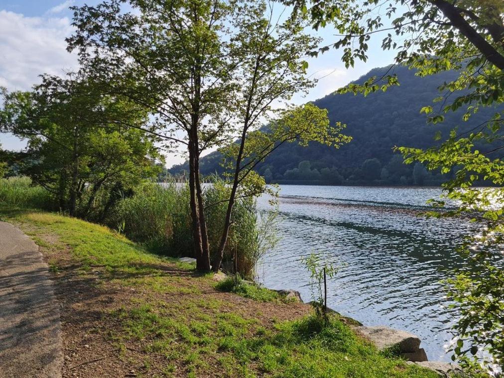 Civico 62 Relax Vicino Al Lago Canzo Exterior foto